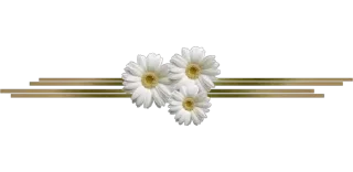 🌸