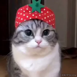 🍓