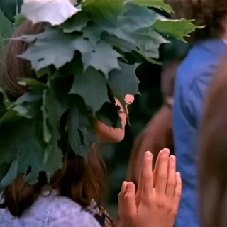 🙏