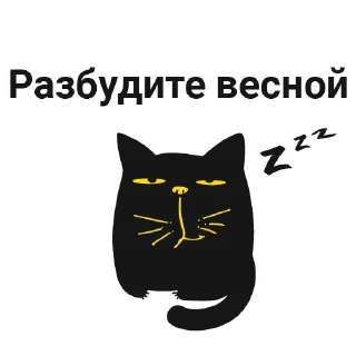 😴