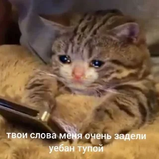😥