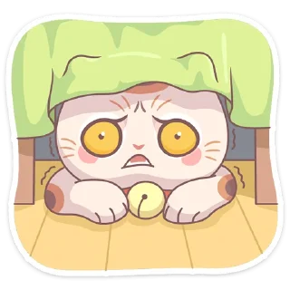 😳