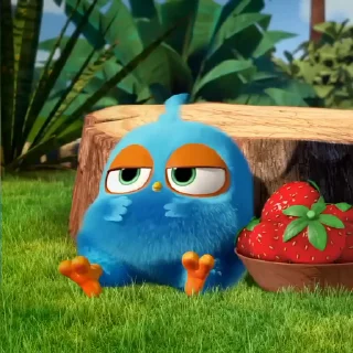 🐣