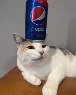 🥤