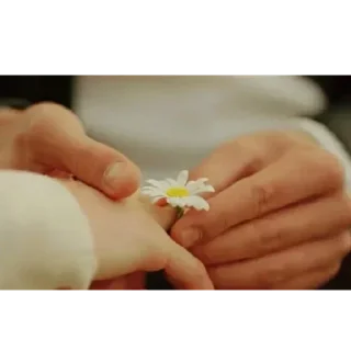 💍