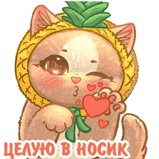 🍍