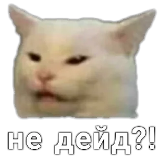 🤨