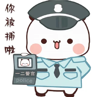 👮‍♀