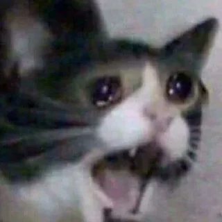 😱