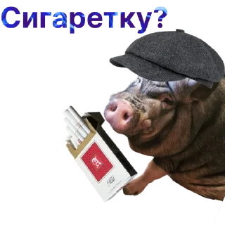 🚬