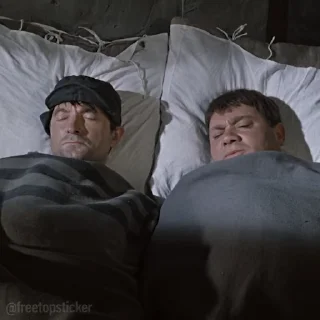 😴