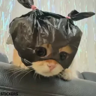 🙂