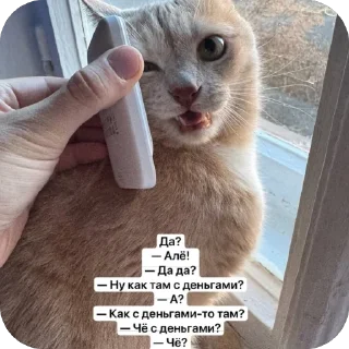 🫥