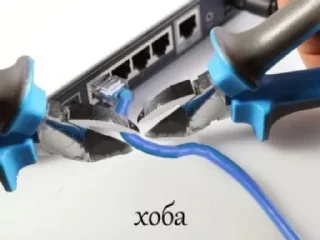 😎