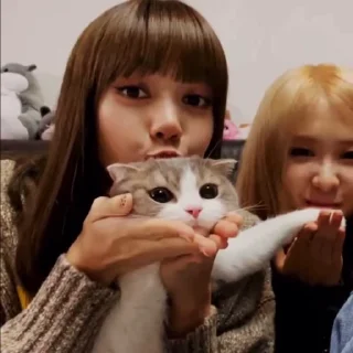 🤍