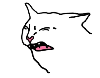 😹
