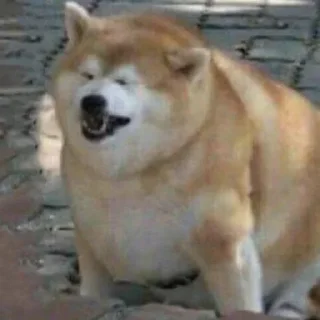 😩