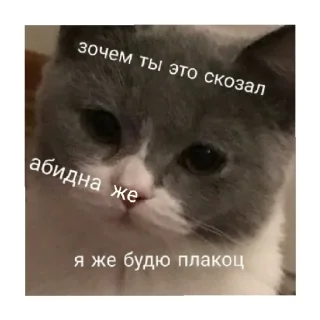 😢