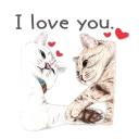 😻