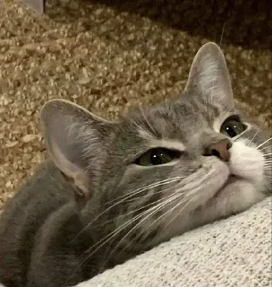 🙂