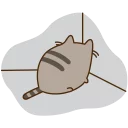🐱