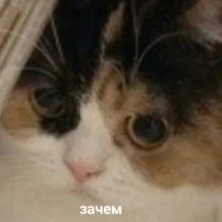😟