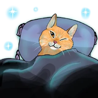 😴