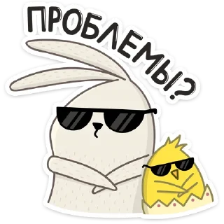😎