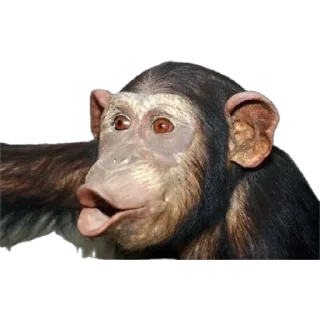😬