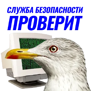 📺