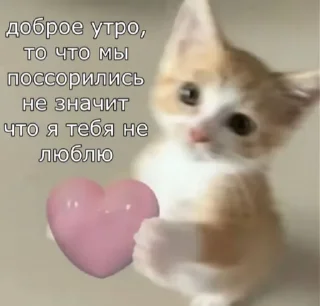 🤍