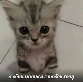 🥺