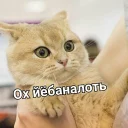 😱