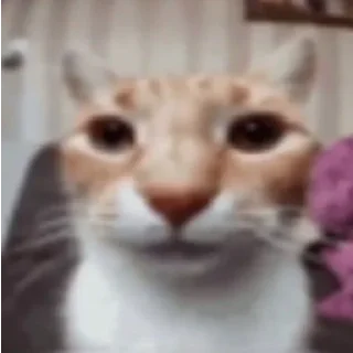 😐