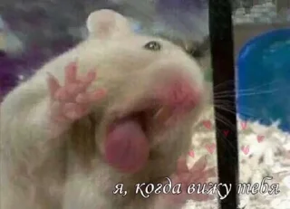 💓