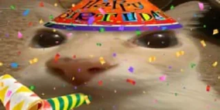 🎉