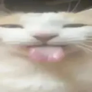 😛