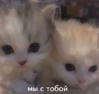 💞