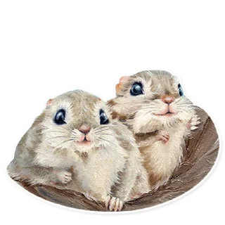 🐿