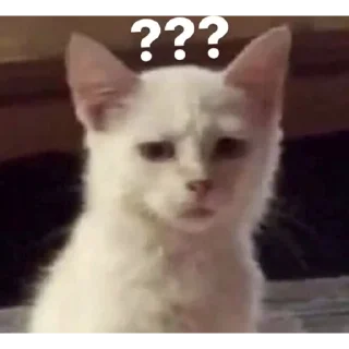 🤨