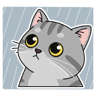 🌧