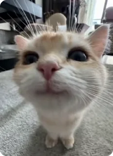 🙂