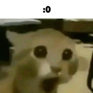 😯