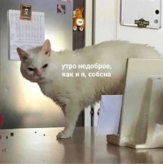 😠