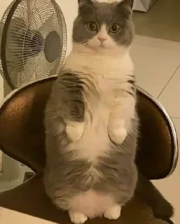 🤨
