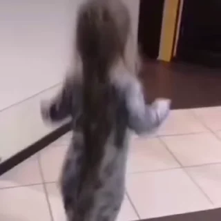 🍼