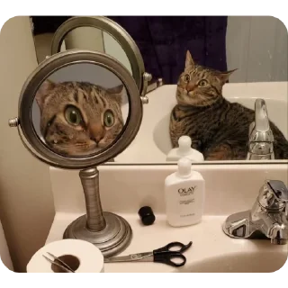 🙈