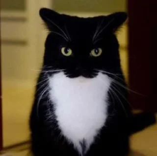 😠