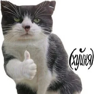 👍