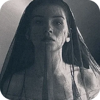 🕸